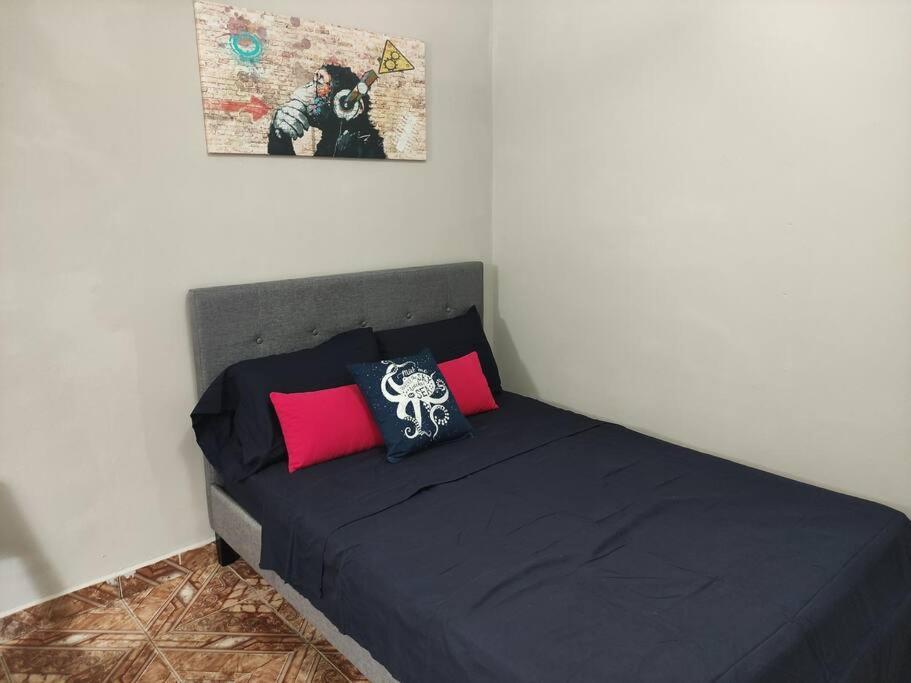 Acogedor Apartamento Completo En Boquete #1. Pet Friendly Apartment Exterior photo